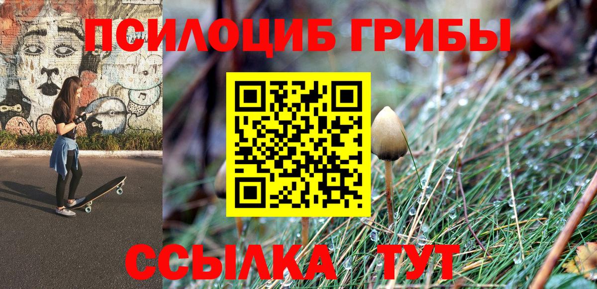 Псилоцибиновые грибы прущие грибы Туапсе