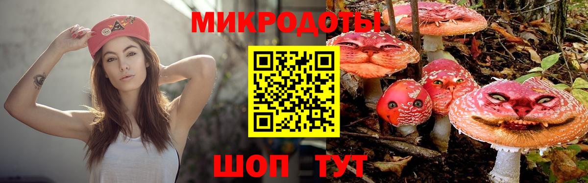 Псилоцибиновые грибы мицелий  Галлюциногенные грибы Psilocybe  Вход с VPN  Туапсе 